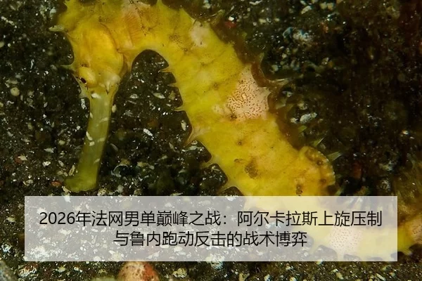 nian-fa-wang-nan-dan-dian-feng-zhi-zhan-a-er-ka-la-si-shang-xuan-ya-zhi-yu-lu-nei-pao-dong-fan-ji-de-zhan-shu-bo-yi-2-543.jpg