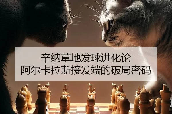xin-na-cao-di-fa-qiu-jin-hua-lun-a-er-ka-la-si-jie-fa-duan-de-po-ju-mi-ma-2-813.jpg